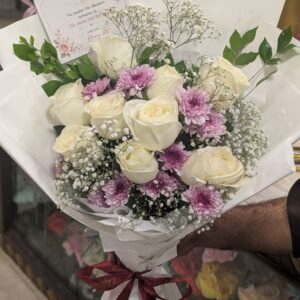 Aster Elegance